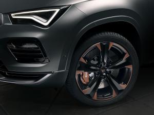 Cupra Ateca 2020 года  (WW)
